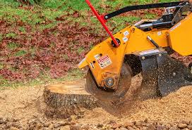 Reliable Billington Heights, NY Tree Care Solutions